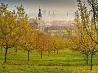 /album/krasy-prahy/loreta-jpg/